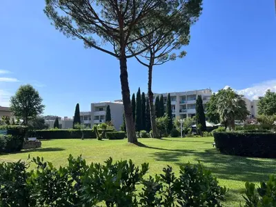 a park with a tree in the middle of a field at Vatican New home in Rome in Rome