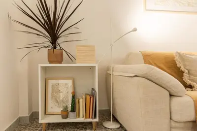 a living room with a couch and a shelf with a plant at Casa Margherita in Rome