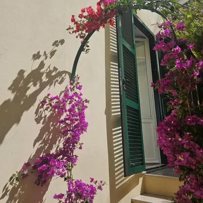 a window with purple flowers and a shutter at Home Rome Borsieri in Rome