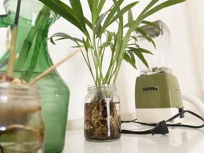 a vase with a plant in it next to a blender at Appartamento tipico Romano - Rione XXII Apartment in Rome