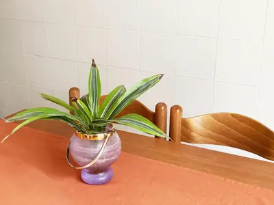 a plant in a purple vase sitting on a table at Appartamento tipico Romano - Rione XXII Apartment in Rome