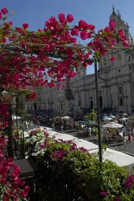 a bunch of pink flowers on a pole in a city at Appartamento Benincampi in Rome