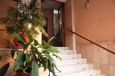 a staircase with a plant in front of a building at Sweet Dreams in St Peter B&b in Rome
