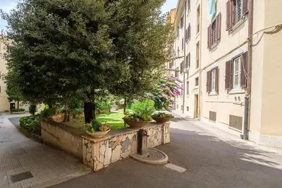 a street with a tree and some potted plants at ht la spezia bilo in Rome