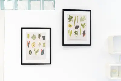 three framed prints of plants on a wall at A 10 min da San Giovanni Casa Indipendente in Rome