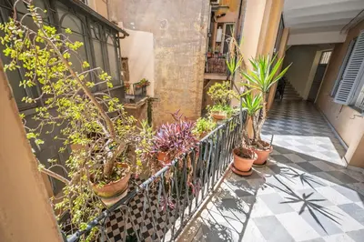 a row of potted plants on a balcony at la casa sul cortile in Rome