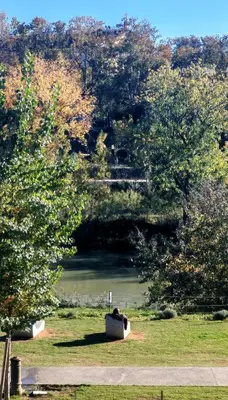 a person laying on the grass next to a lake at casa Gesi in Rome