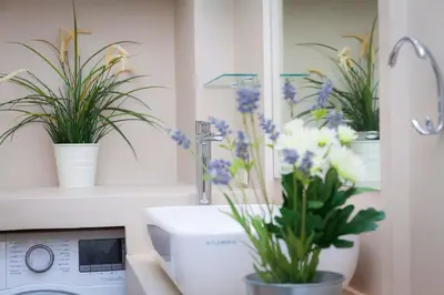 a bathroom with a washing machine and flowers on a counter at Castel Bolognese in Rome