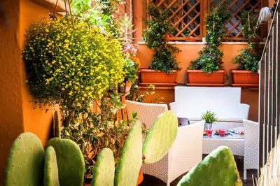 a group of cacti and plants on a wall at Castel Bolognese in Rome