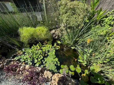a garden with a pond with flowers and plants at Casa indipendente con vista acquedotto romano in Rome