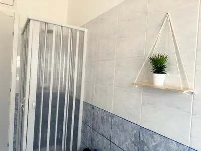 a bathroom with a shower and a plant on a shelf at Dreams in Rome St Peter s - Near Vaticano in Rome