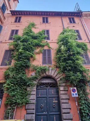 a building with a black door and green plants at Simple life in Rome in Rome