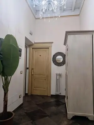 a hallway with a door and a potted plant at loft a Castel S Angelo A e B in Rome