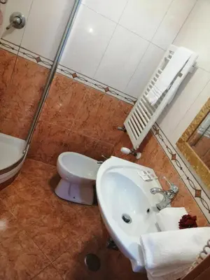 a bathroom with a sink and a toilet and a shower at Alla Basilica Rooms in Rome
