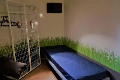a room with a cage with grass on the wall at Il Giardino del Viaggiatore in Rome