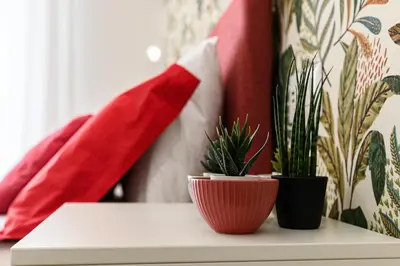 a table with two potted plants on top of it at Del Frate Guest House Vatican in Rome