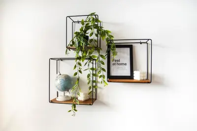 a shelf with a plant and a picture on a wall at Casetta Pandosia - San Giovanni - Colosseo in Rome