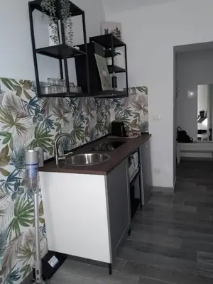 a kitchen with a sink and a counter at La Casetta Monteverde in Rome