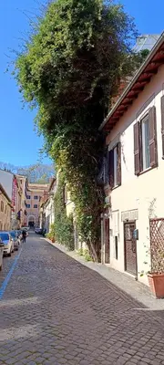 a tree is hanging over a cobblestone street at Apartment B4 in the center of Rome WiFi and AC in Rome