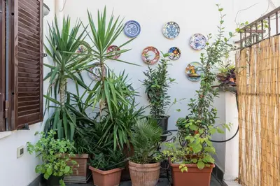a wall with plants and plates on a wall at Da Giorgio e Teresa - Attico con terrazza a Piazza del Popolo in Rome