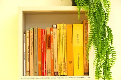 a book shelf filled with books next to a plant at My Dream in Rome in Rome