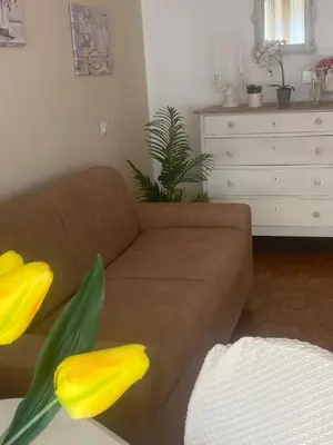 a brown couch in a living room with yellow flowers at Alloggio Turistico Agiati in Rome