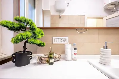 a plant sitting on a kitchen counter next to a sink at King Size Apartment WiFi AIR CONDITIONING TV50 10MIN COLOSSEO-TRASTEVERE in Rome