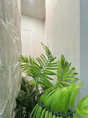 a green plant in a pot next to a wall at Glint House Prestige in Rome