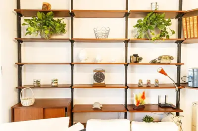 a wall of shelves with potted plants on them at Maison Chic Cornelia - San Pietro in Rome