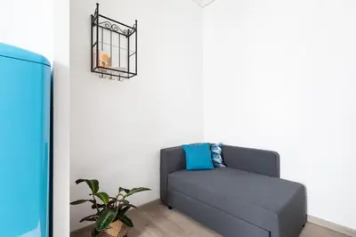 a gray couch in a room with a plant at Loving Testaccio in Rome