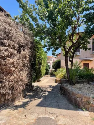 a tree on the side of a dirt road at Lotto 21 della Garbatella in Rome