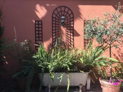 a garden with potted plants in front of a building at Gianicolo Penny's Garden a Roma centro in Rome