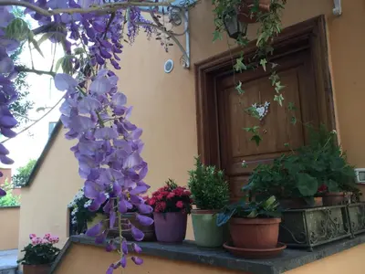a bunch of purple flowers and potted plants on a ledge at Gianicolo Penny's Garden a Roma centro in Rome