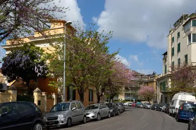a street with cars parked on the side of the road at Gianicolo Penny's Garden a Roma centro in Rome