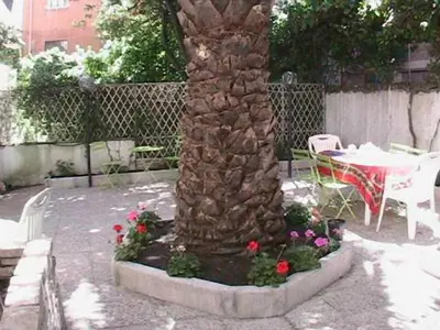 Gallery image of Casa Totti in Rome