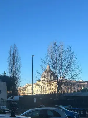 a large white building with a dome on top of it at Aurea Suite Vaticano in Rome