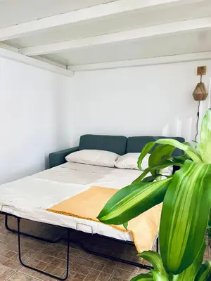 a bed in a white room with a plant at Leonardo Guest House Roma in Rome