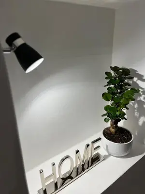 a potted plant sitting on a shelf next to a honda sign at Leonardo Guest House Roma in Rome