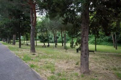 a park with trees and benches in the grass at La Terrazza sul Parco Appartamento per famiglie, Vaticano, Metro A in Rome