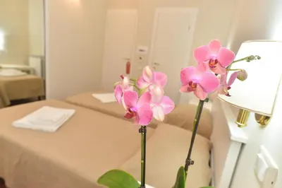 two pink orchids sitting on a table in front of a mirror at Romebest in Rome