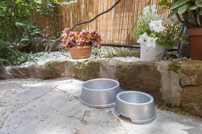 Gallery image of Poerio Home&Garden near the centre of Rome in Rome