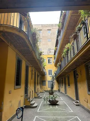 an empty alley with a potted plant in the middle at Domus Romano Campo de Fiori in Rome