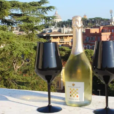 a bottle of wine sitting between two wine glasses at Anita's House in Rome