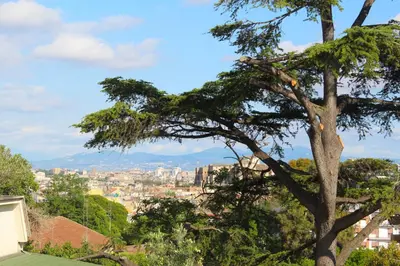 a tree with a view of a city at Anita's House in Rome