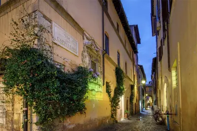 an alley with ivy growing on the side of a building at Daplace - Camelia Apartment in Rome