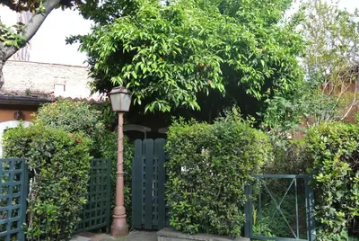 a street light in front of a fence with a tree at Appartamento Garden Palatino in Rome