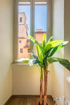 a plant sitting in front of a window at Maison Leo a Largo Argentina in Rome
