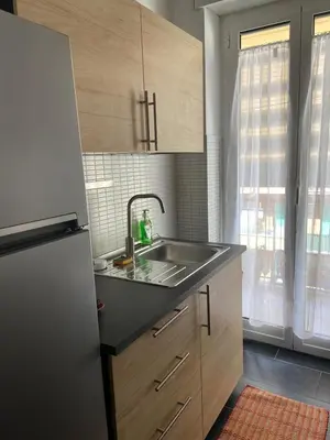 a kitchen with a sink and a refrigerator at La casetta di Matteo in Rome