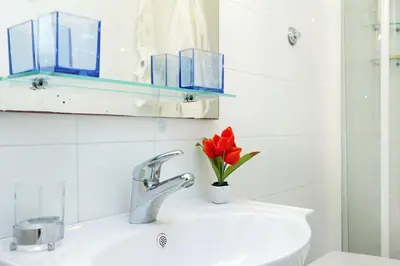 a bathroom sink with a red flower in a vase on it at A Casa di Silvana in Rome