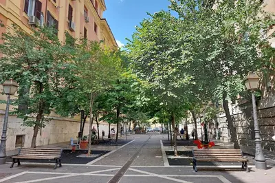 a street with benches and trees in a city at Doria in Rome